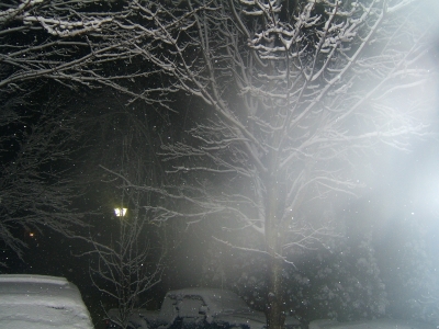 DSCF0950.JPG