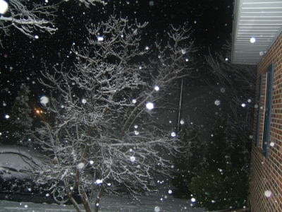 DSCF0951.JPG