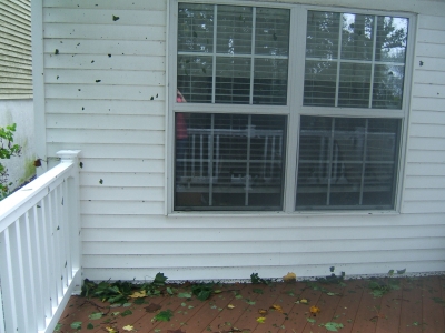 DSCF1866.JPG