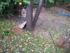 DSCF1863.JPG