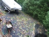 DSCF1867.JPG