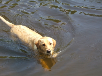 DSCF1674.JPG