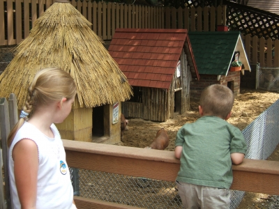 DSCF1774.JPG