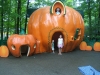 DSCF1762.JPG