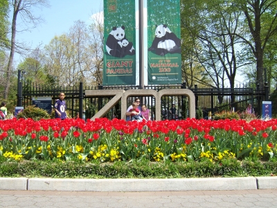 DSCF1300.JPG