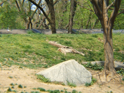 DSCF1302.JPG