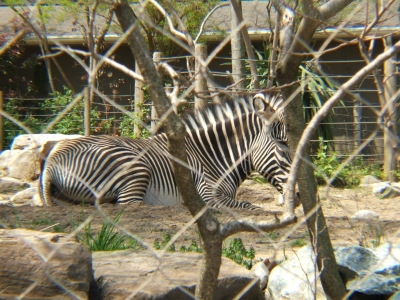 DSCF1305.JPG