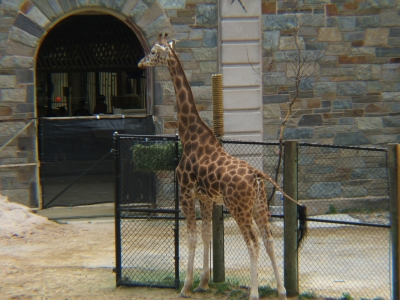 DSCF1308.JPG