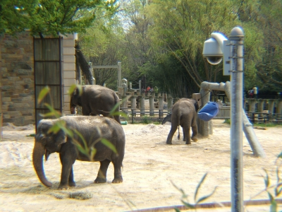 DSCF1316.JPG