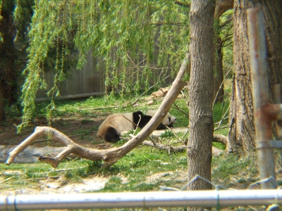 DSCF1317.JPG