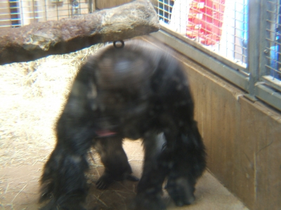 DSCF1323.JPG