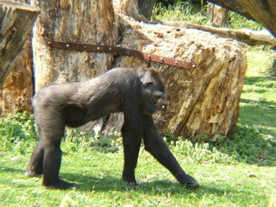 DSCF1328.JPG
