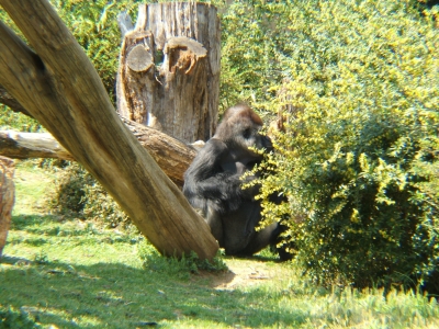 DSCF1331.JPG