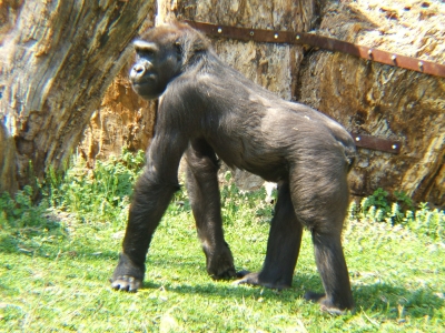 DSCF1332.JPG