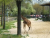 DSCF1315.JPG