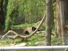 DSCF1317.JPG