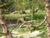 DSCF1318.JPG