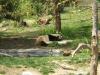 DSCF1319.JPG