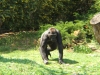 DSCF1326.JPG