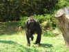 DSCF1327.JPG