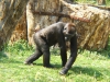 DSCF1329.JPG