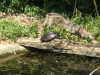 DSCF1334.JPG