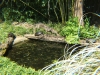 DSCF1335.JPG