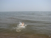 IMG_0173.JPG