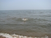 IMG_0174.JPG