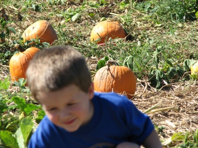IMG_0646.JPG