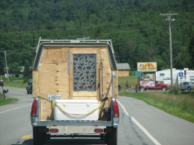 You might be a redneck if you make a camper from an old truck bed, plywood and a truck cap!
