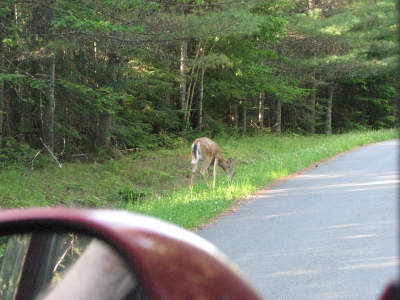 IMG_2430.JPG